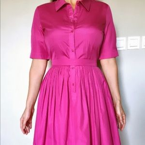 Max Mara Studio Europa Pleated Shirt Dress